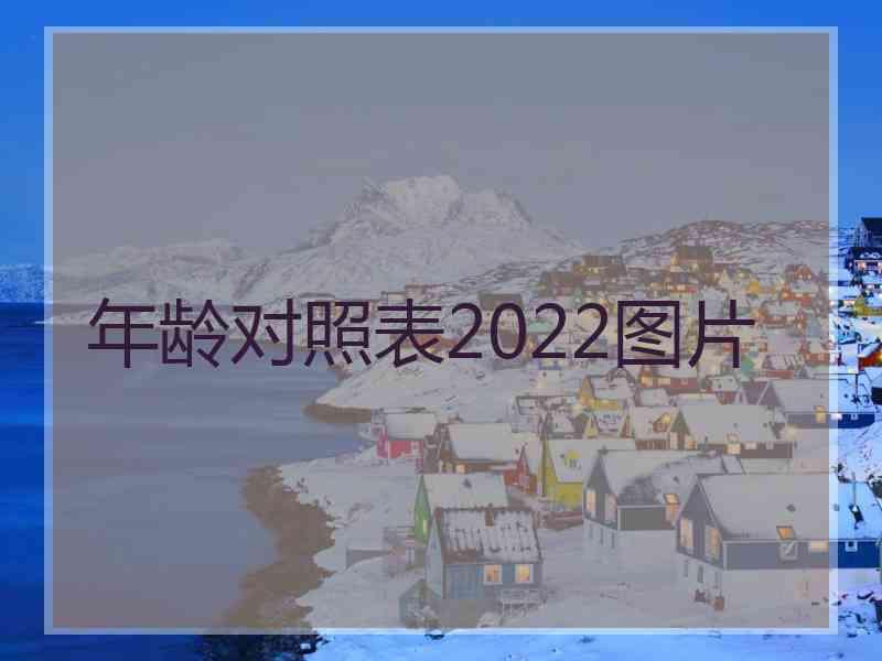 年龄对照表2022图片