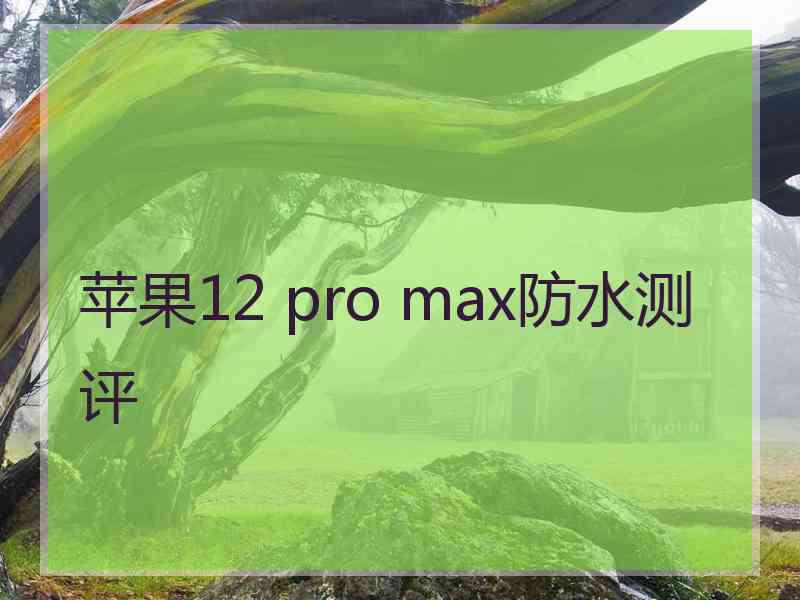 苹果12 pro max防水测评