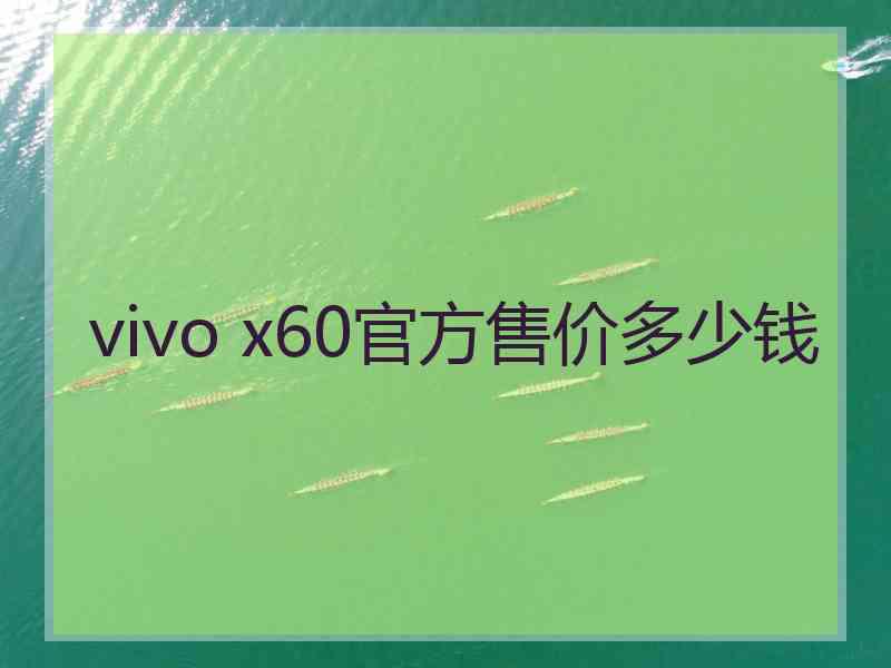 vivo x60官方售价多少钱