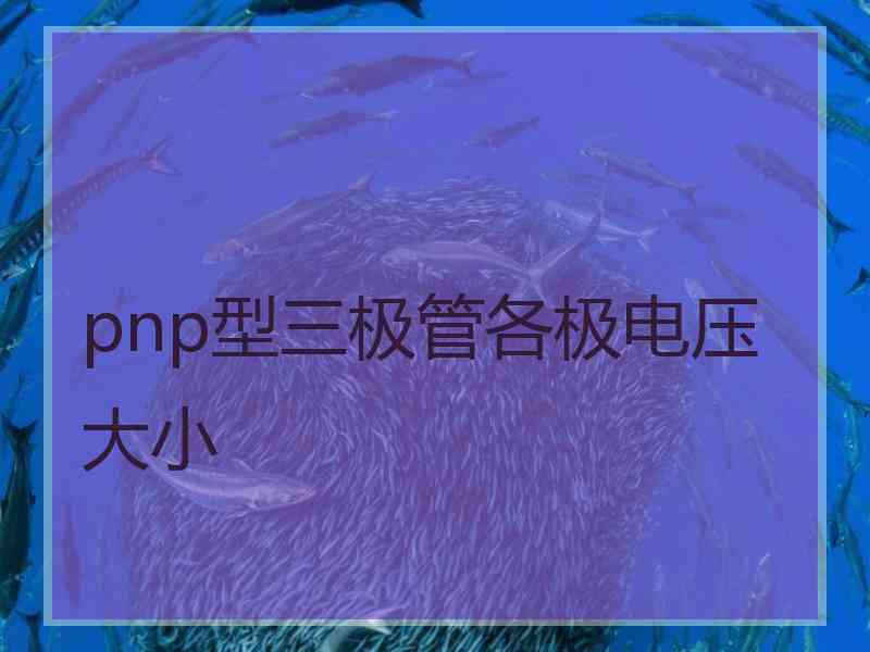 pnp型三极管各极电压大小