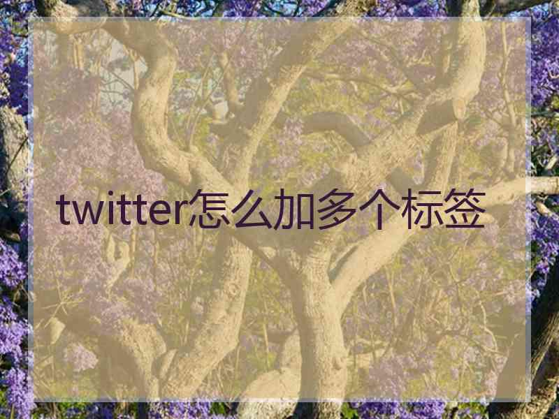 twitter怎么加多个标签