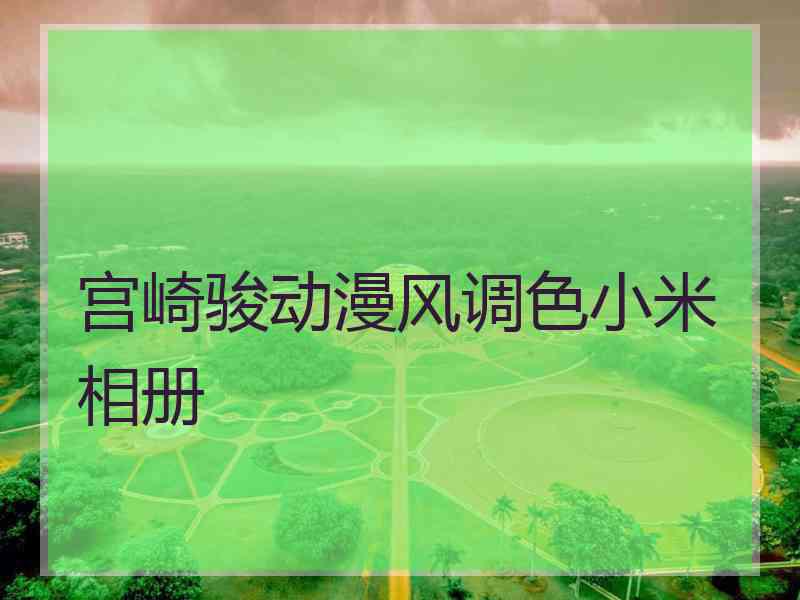 宫崎骏动漫风调色小米相册