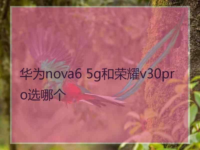 华为nova6 5g和荣耀v30pro选哪个