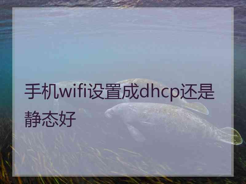 手机wifi设置成dhcp还是静态好