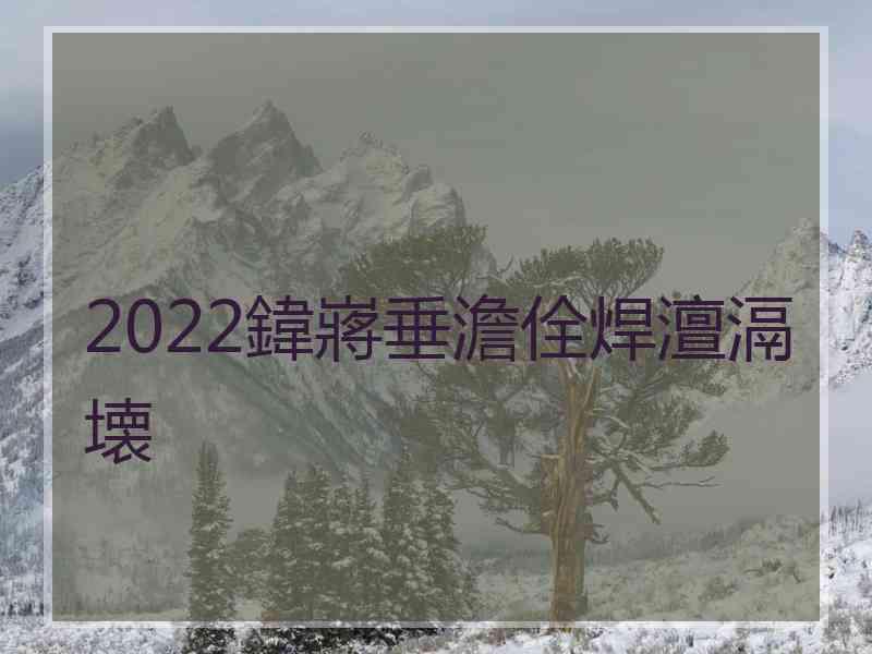 2022鍏嶈垂澹佺焊澶滆壊