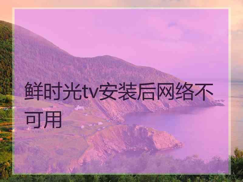 鲜时光tv安装后网络不可用