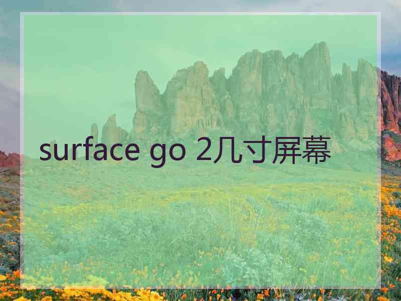 surface go 2几寸屏幕