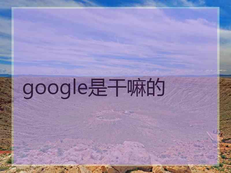 google是干嘛的