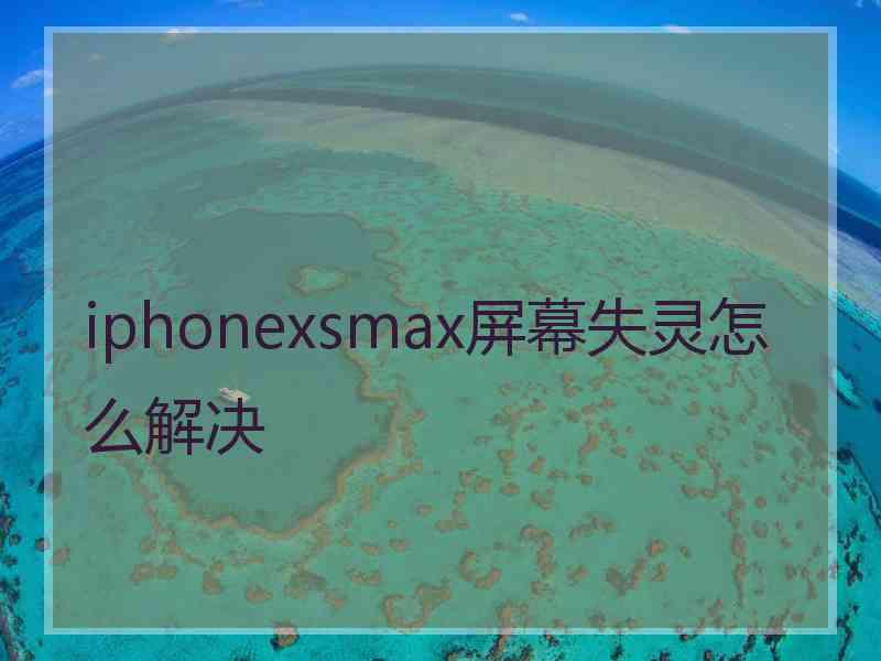 iphonexsmax屏幕失灵怎么解决