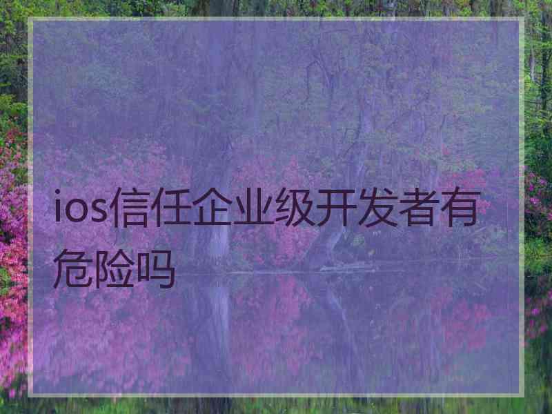 ios信任企业级开发者有危险吗