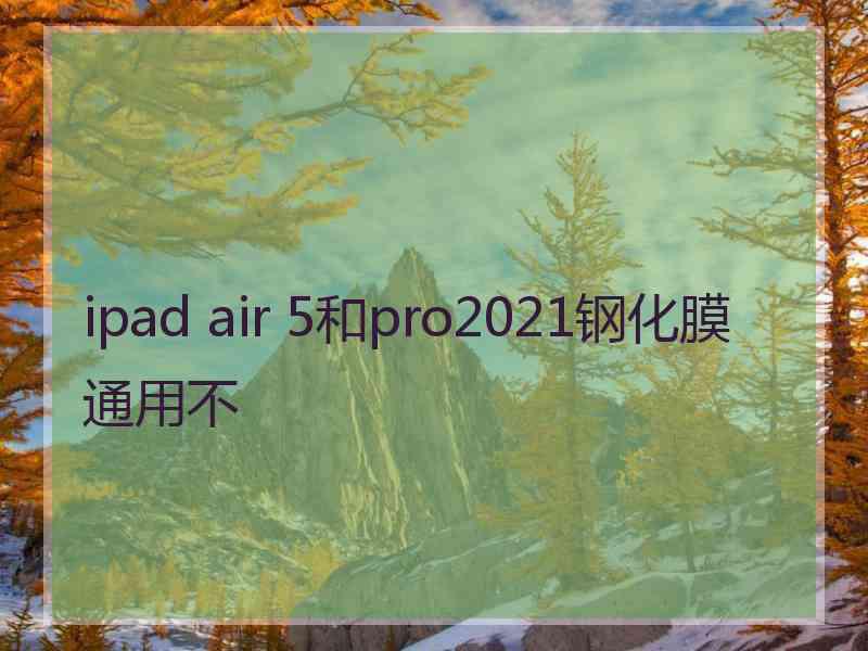 ipad air 5和pro2021钢化膜通用不