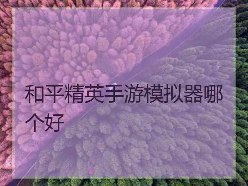 和平精英手游模拟器哪个好