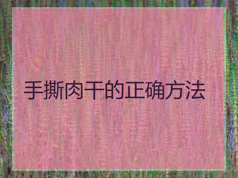 手撕肉干的正确方法