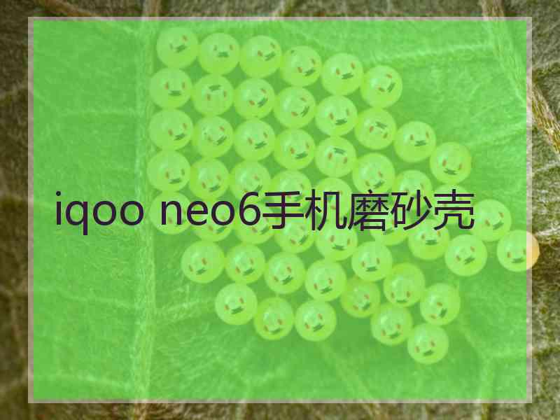 iqoo neo6手机磨砂壳