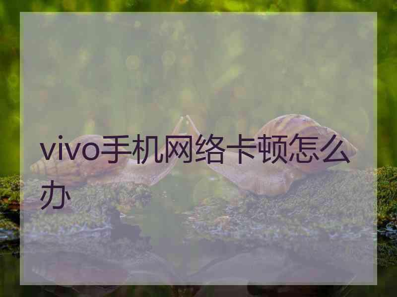 vivo手机网络卡顿怎么办