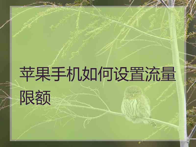 苹果手机如何设置流量限额