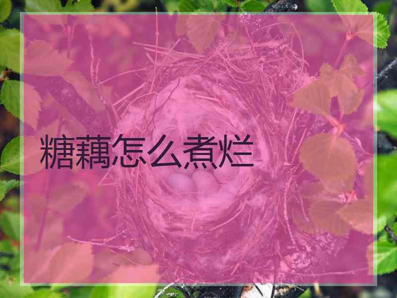 糖藕怎么煮烂