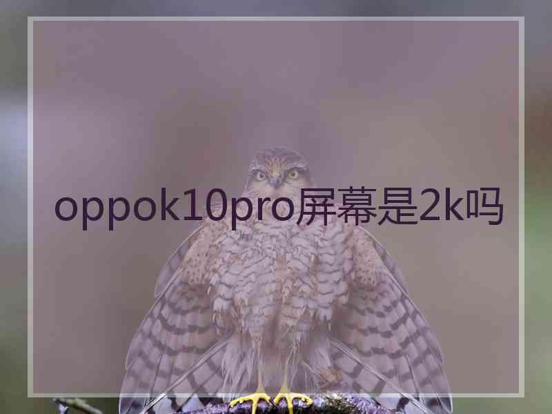 oppok10pro屏幕是2k吗