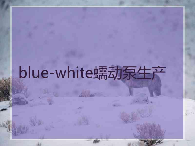 blue-white蠕动泵生产