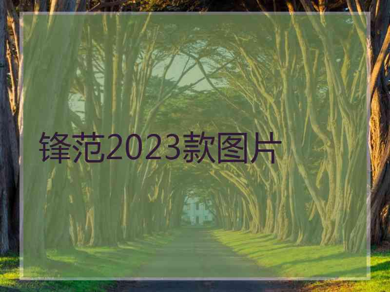 锋范2023款图片