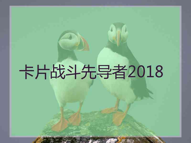 卡片战斗先导者2018