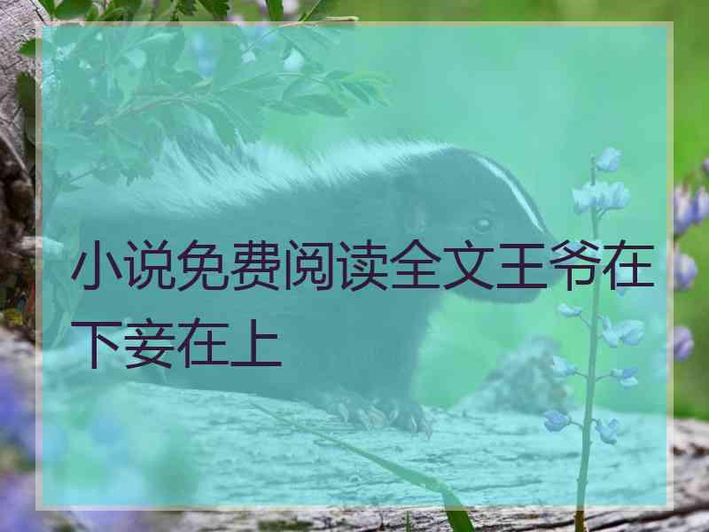 小说免费阅读全文王爷在下妾在上