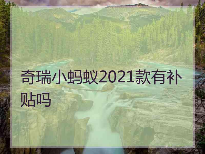 奇瑞小蚂蚁2021款有补贴吗