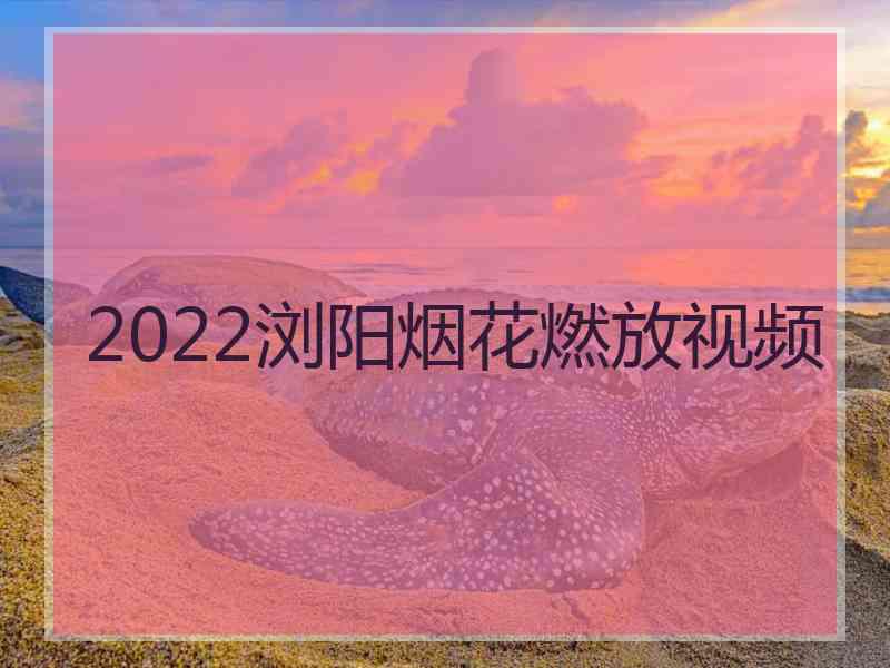 2022浏阳烟花燃放视频