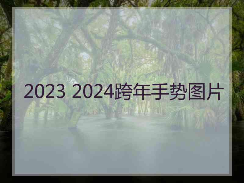 2023 2024跨年手势图片