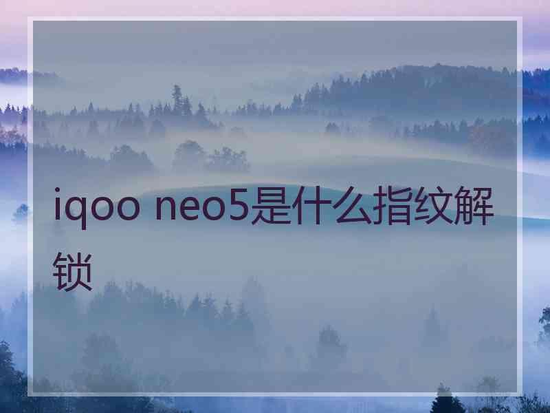 iqoo neo5是什么指纹解锁