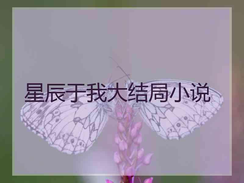 星辰于我大结局小说