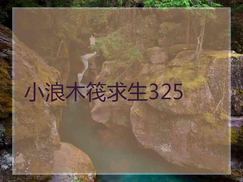 小浪木筏求生325