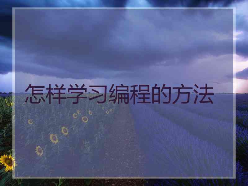 怎样学习编程的方法