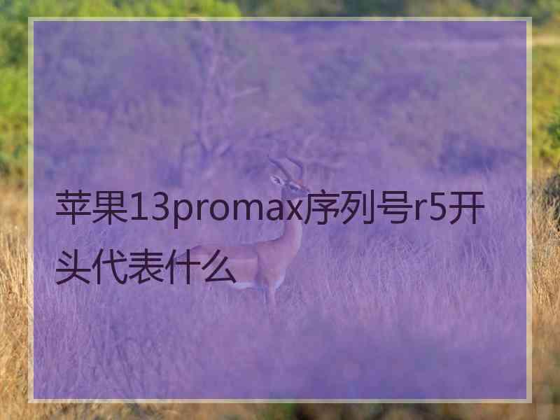 苹果13promax序列号r5开头代表什么