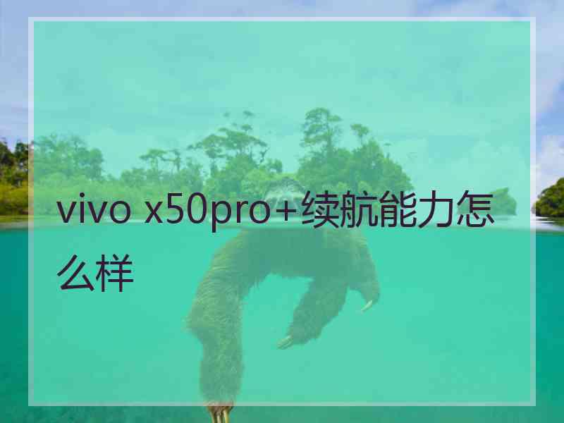 vivo x50pro+续航能力怎么样