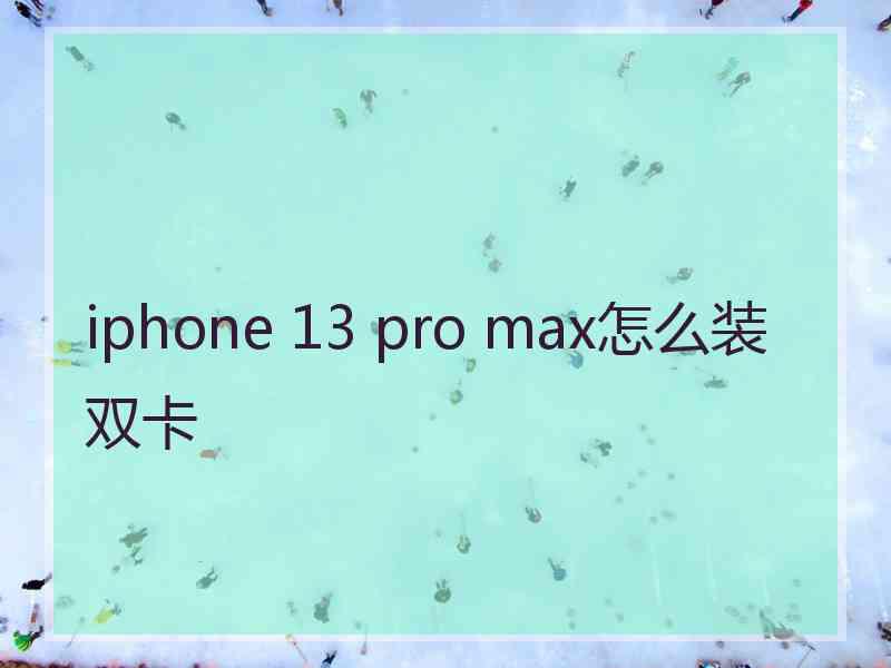 iphone 13 pro max怎么装双卡