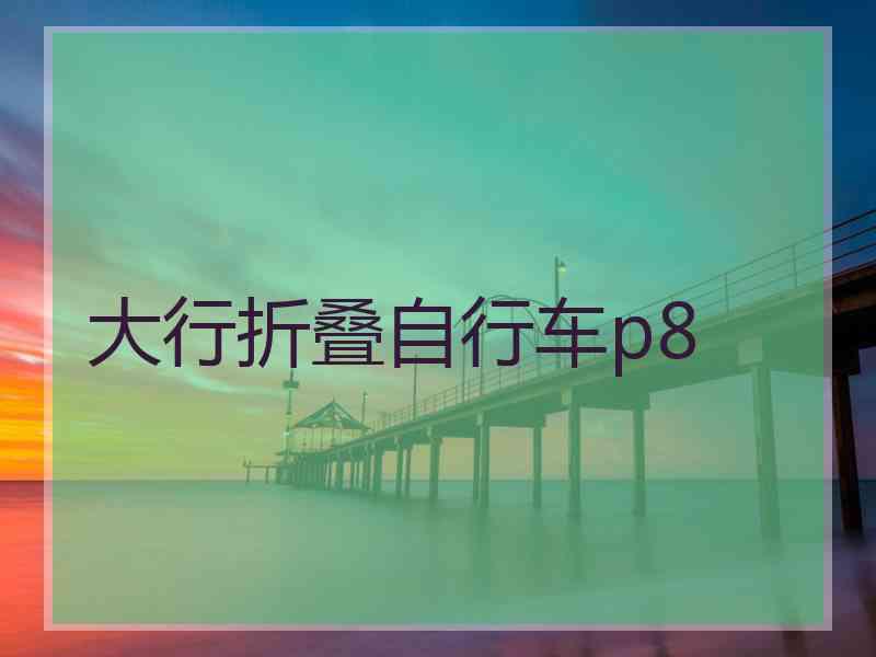 大行折叠自行车p8