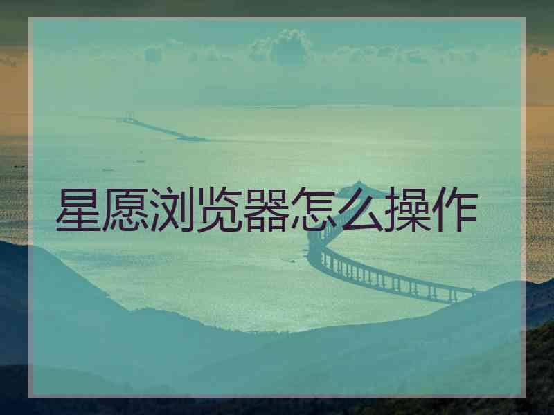 星愿浏览器怎么操作