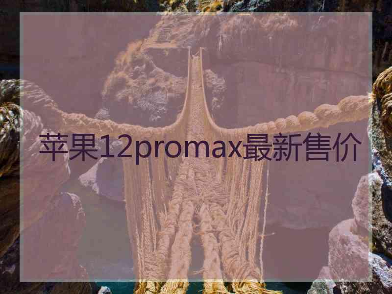 苹果12promax最新售价