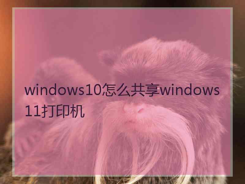 windows10怎么共享windows11打印机