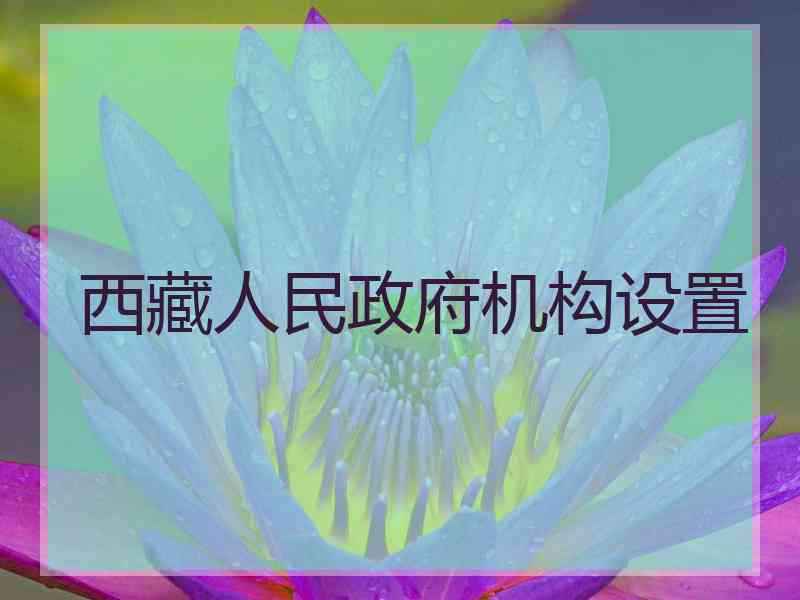 西藏人民政府机构设置