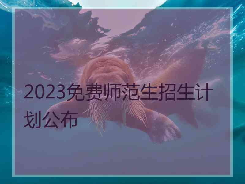 2023免费师范生招生计划公布