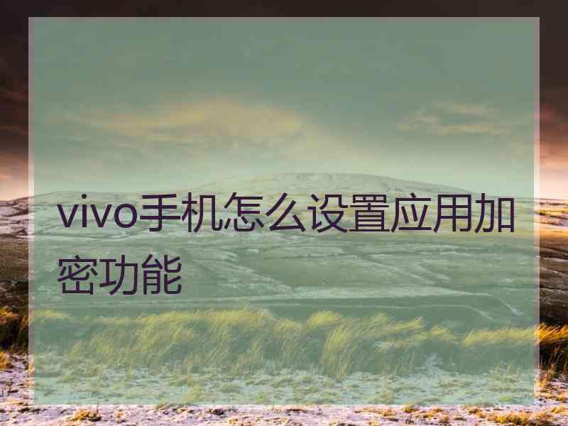 vivo手机怎么设置应用加密功能