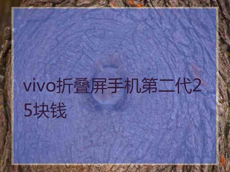 vivo折叠屏手机第二代25块钱