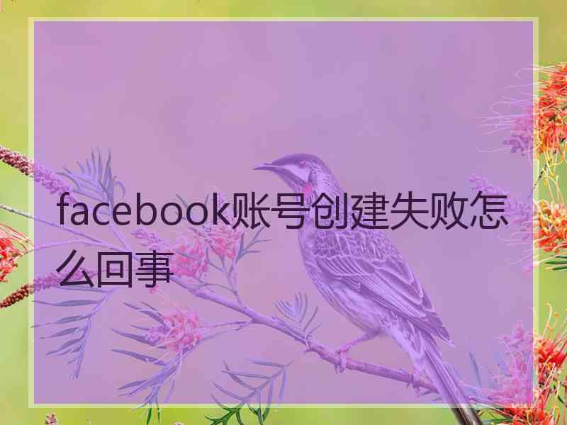 facebook账号创建失败怎么回事