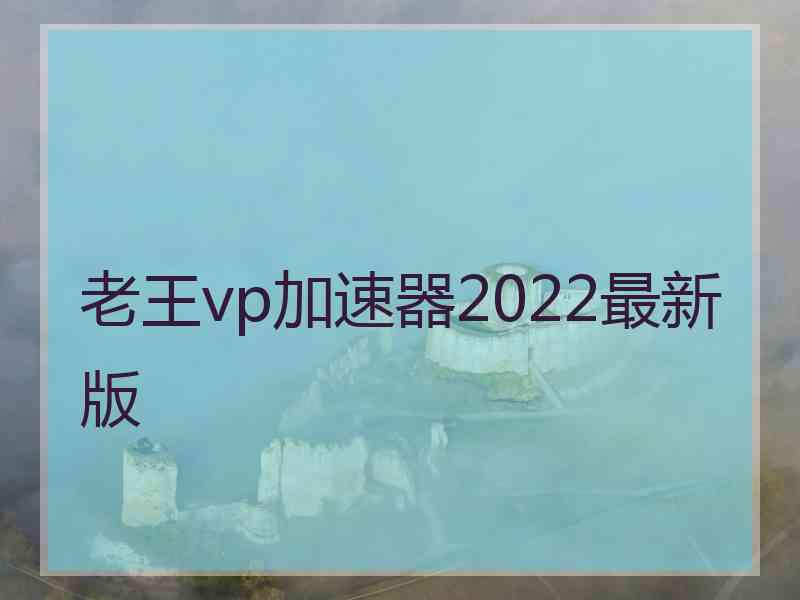 老王vp加速器2022最新版