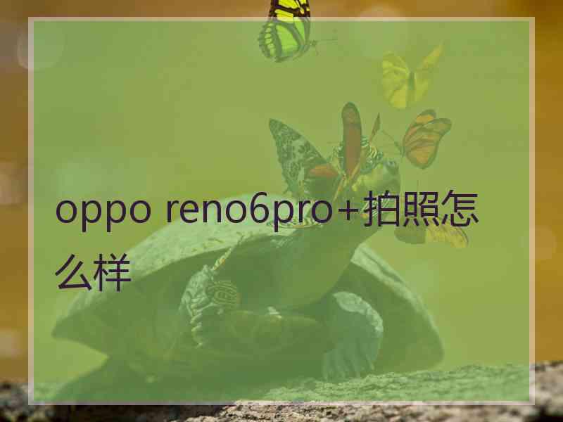 oppo reno6pro+拍照怎么样