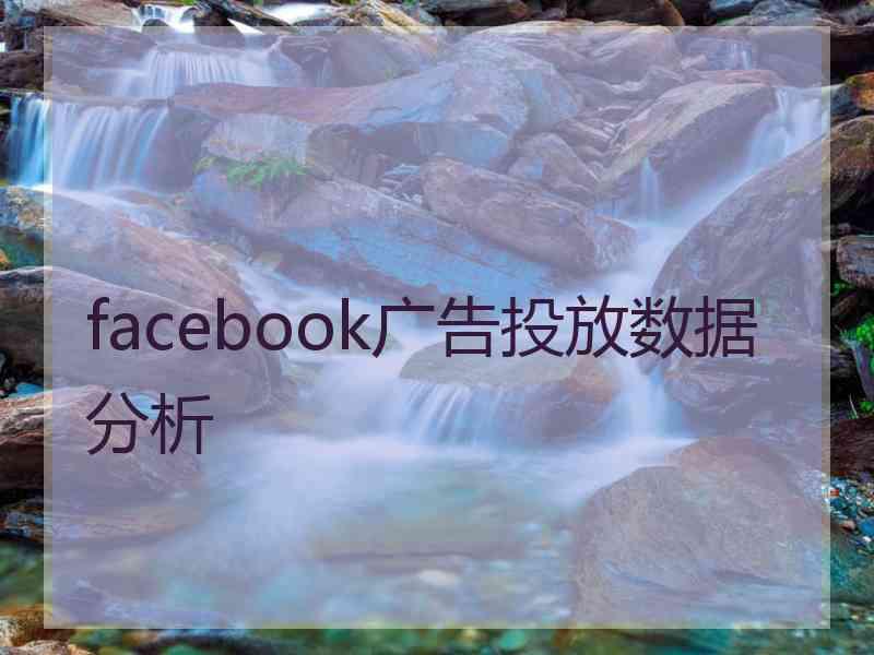 facebook广告投放数据分析