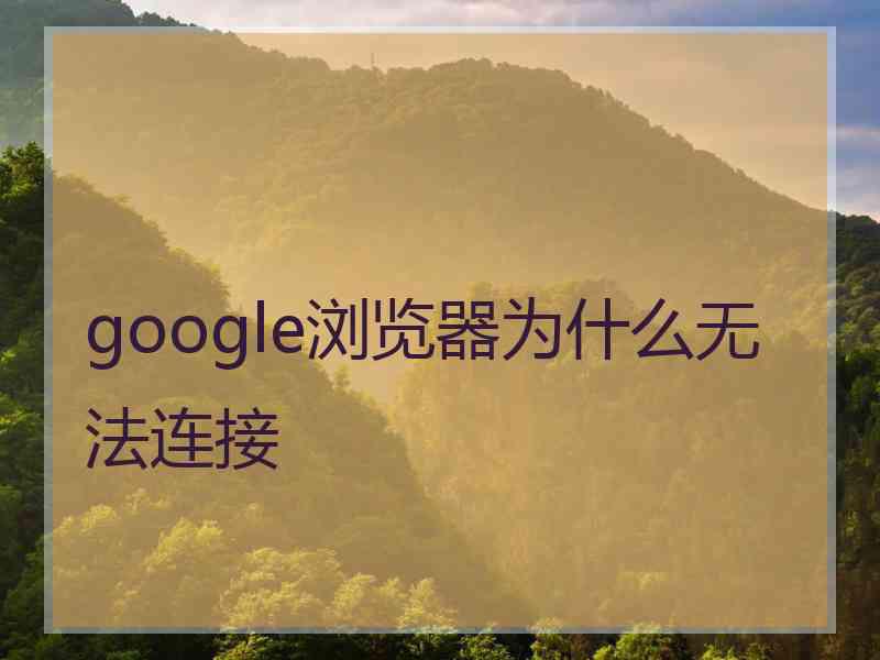 google浏览器为什么无法连接