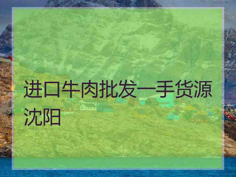 进口牛肉批发一手货源沈阳